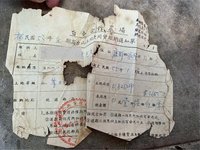 陳瑩和莊瑞雄助公地放領　盼解農民耕作土地問題