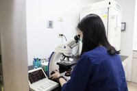 新竹馬偕響應政府政策　助癌病患者凍卵取精保存