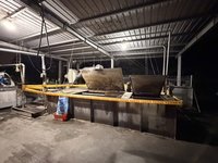 屏東養豬場違規廚餘飼養　挨罰80萬禁止上市