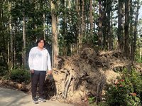 嘉義樹木園修復礙於經費卡關　王美惠爭取解套