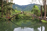 溪頭門票115年元旦起漲價　幅度最高達5成