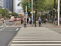 議員稱綠燈閃闖馬路恐挨罰　北市擬檢視路口閃燈