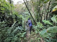 新店五重溪染綠山區追污染源　議員籲善用科技輔助