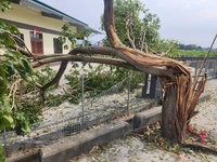 陸軍濁水溪火砲射擊訓練　榴彈誤落波及3民宅無人傷