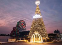 高流17公尺耶誕金勾TREE　與港灣夕陽一同入鏡吸睛