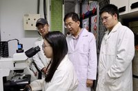 非典型氫鍵量測新突破　助永續能源、光電元件研究