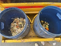 禁用廚餘養豬緩衝1年　環境部擬設區域調度中心