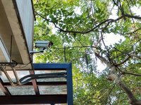 竹市府2026年投入1億元　助各校強化教學環境