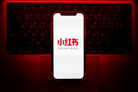 綠：小紅書不守法也不配合打詐才被禁1年　不是因為來自中國