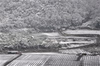 霸王寒流發威　台灣這些地方下雪了[影]