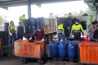 豬農拒收廚餘引發憂心　桃市環保局已啟動緊急應變