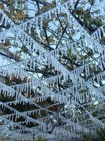 武陵農場清晨0.2度　藤花園冰晶宮再現