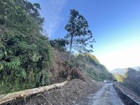 太平山宜專一線崩塌處有危木 11時起封路處理