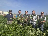 立委徐富癸助推產銷履歷　提升屏東萬丹紅豆競爭力