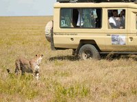 「上山吧!台灣隊」攀非洲最高峰 遇車爆胎插曲