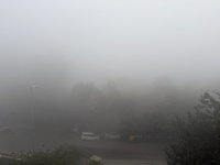 印度德里空污嚴重　能見度趨近於0已60火車誤點