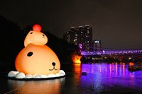 水豚君呆在碧潭倒數中　把握週末最終見面會