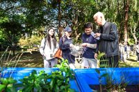 元智大學創新教學  校園復育33種瀕危水生植物