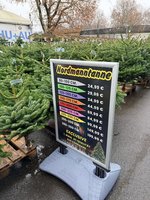 「瘦瘦針耶誕樹」搶市  德媒：暖化與全球需求造成