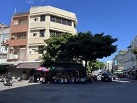 台東地王蟬聯逾40年　最便宜在嘉明湖附近