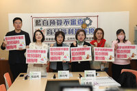 綠委民團憂115年總預算未審　將衝擊生育補助政策