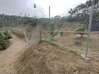 嘉義中埔農民依規範架設電圍網  獼猴不再侵擾果園