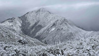 雪霸成銀白世界　高山積雪逾20公分