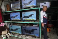 菲律賓智庫聲援台灣  譴責中國軍演不見容國際社會