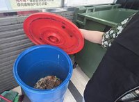 115年家戶廚餘禁養豬　中市近9成社區清運問題獲解