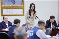 鄭麗文將參加府前元旦升旗　盼兩岸共同負責維繫和平