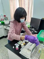 高雄公布動物疾病檢驗統計 禽流感「全陰性」