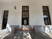 台南水道博物館百年羅漢松　轉化再生長凳延續記憶