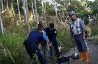 男闖農舍竊空氣長槍遭制伏　警依強盜罪送辦