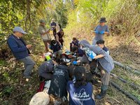 黑熊阿里曼屢滋擾聚落引恐慌　捕獲送北市動物園安置