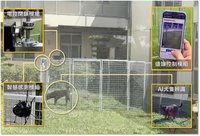 遊蕩犬誘捕設施進化　結合AI辨識準確度達9成