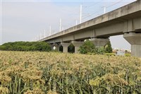 去年地層顯著下陷面積歸零　政委陳金德：達成防治初步目標