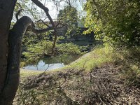 屏東佳冬推動湧泉生態園區　先期評估8日說明會