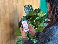 台中廚餘機補助申請破7千件　市府籲送件資料要正確