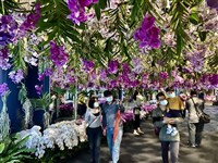 農科園區條例修法初審通過　陳亭妃：確保原業者權益