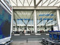 埃及機場全面數位化  2月告別手寫出入境卡
