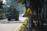 金門設保育類「金龜」警示牌　提醒往來車輛留意