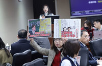 人工生殖法初審　朝野爭論代理孕母綠籲脫鉤處理