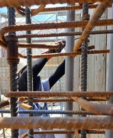 展望會：弱勢兒少打工　2成領不到最低工資