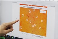 監院：塑膠微粒風險監測管制　環境部衛福部等應檢討