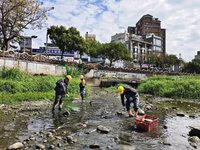 新竹豆子埔溪出現死魚　研判枯水期低溫影響