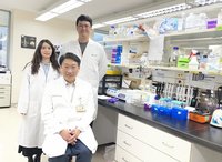 陽明交大揭露癌細胞具抗壓性　盼助力免疫治療