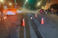 新北市公車輾狗未查看駛離涉違動保法　駕駛函送法辦