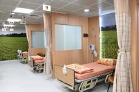 大林慈濟醫院改造化療室　融入四季美景療癒病友