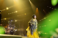 齊豫出道47年最大考驗　5/9北流開唱推限定歌單