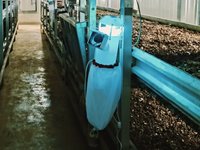 農試所開發智慧型LED燈滅蟲技術　解決菇類蟲害